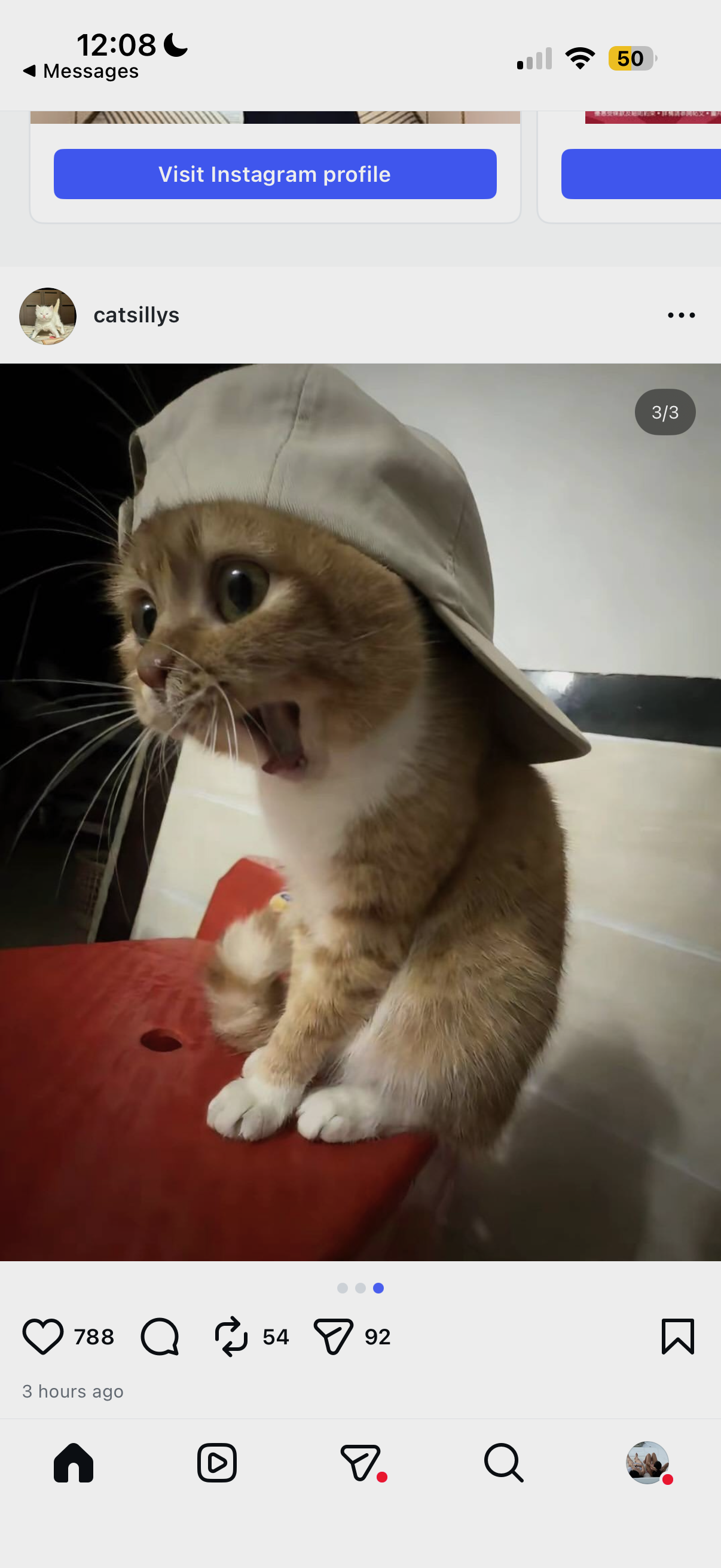 hat cat